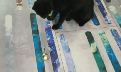 MILYEN SZÍNŰ LEGYEN A… SZÍNTANÁCSADÁS ONLINE